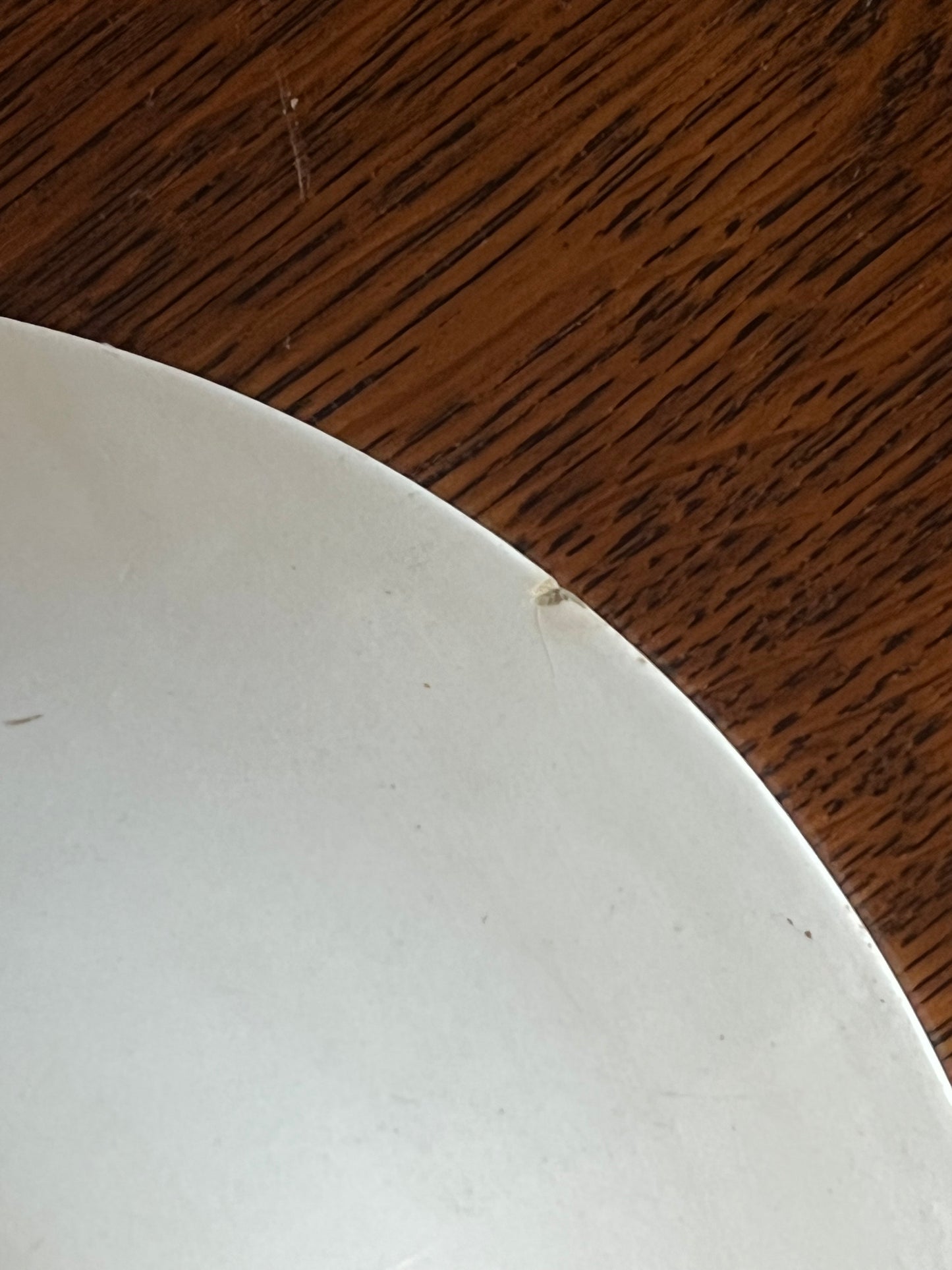 Set of 2 Floral Decorative Dinner Plates Platters Oval Serving Set