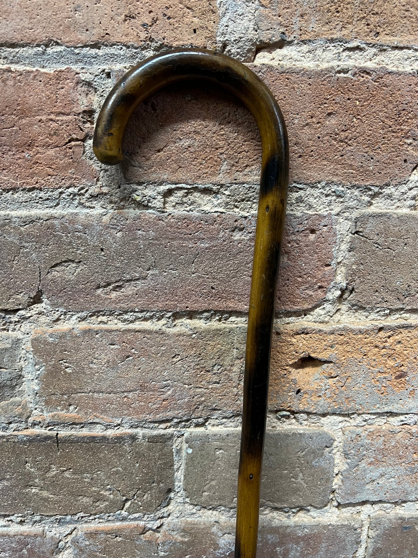 Two Tone Wooden Walking Stick Light Dark Brown with Crook Handle