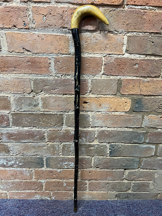 Shepherd's Crook Style Walking Stick Dark Brown with Light Handle