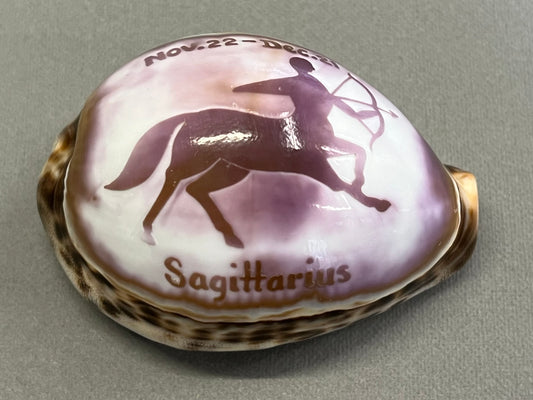 Small Sagittarius Shell Ornament