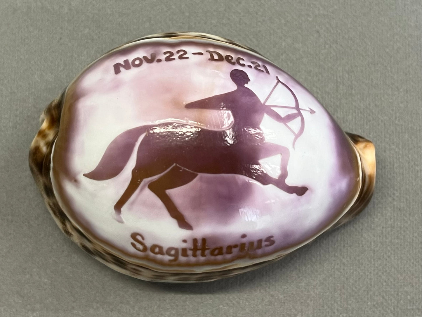 Small Sagittarius Shell Ornament