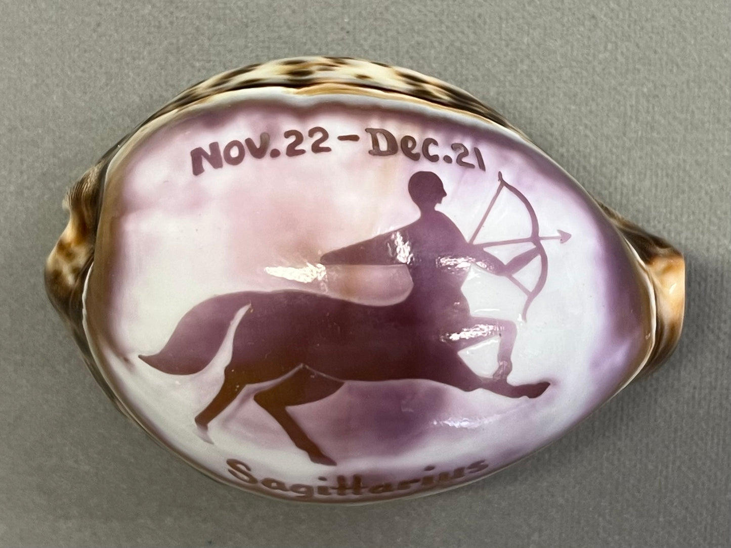 Small Sagittarius Shell Ornament