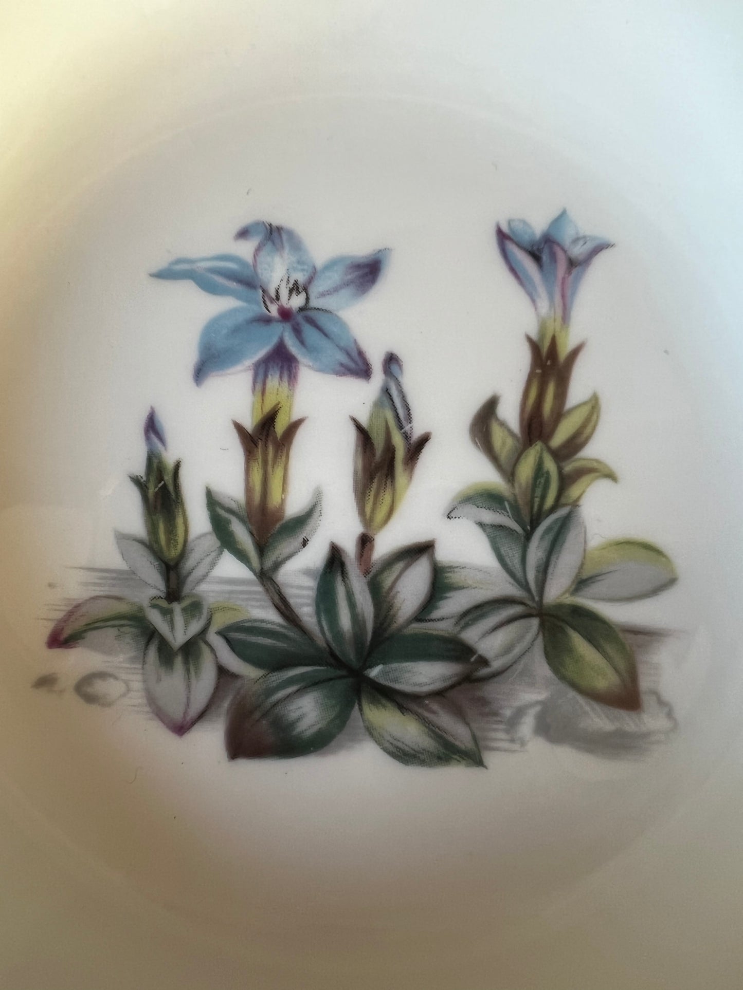 Royal Worcester Trinket Dish